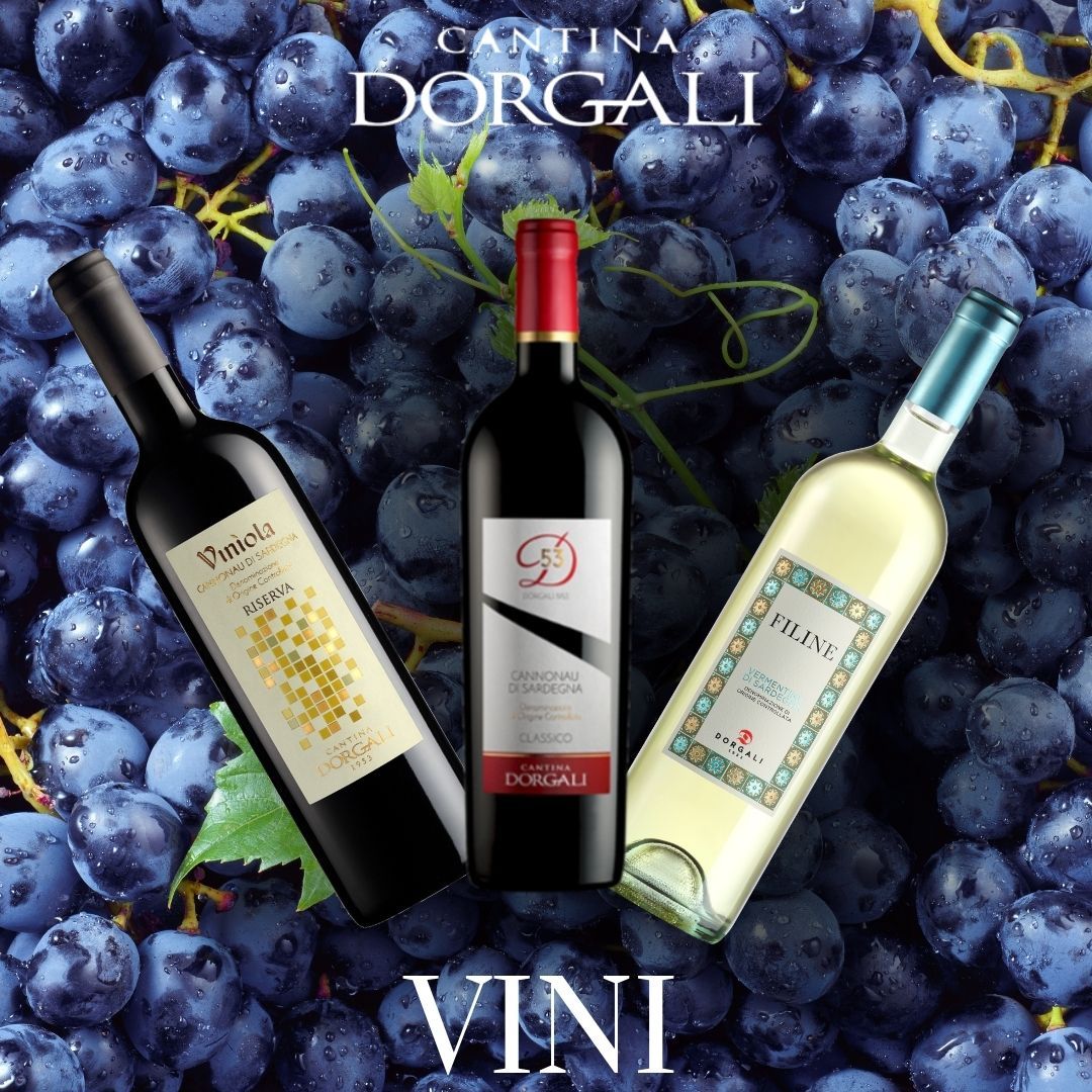 Vini categorie