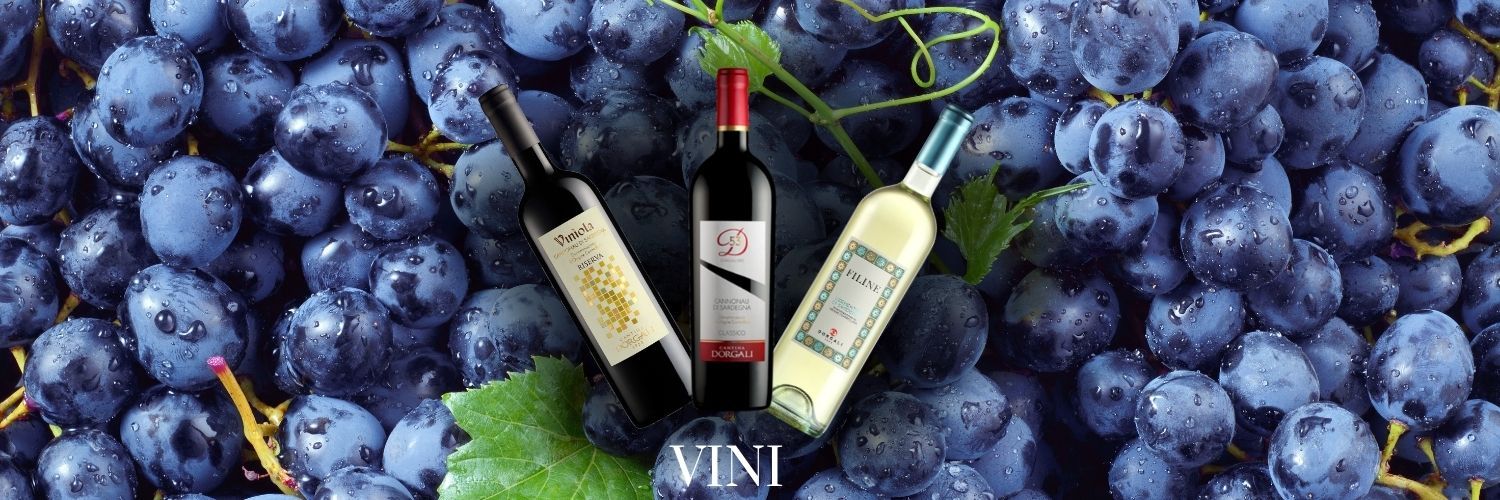 Categoria vini